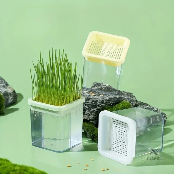 pot-germoir-transparent-avec-couvercle-filtre-ideal-pour-pan1nm-1