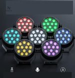 Luminaires d'ambiance avec télécommande pour fêtes en plein air