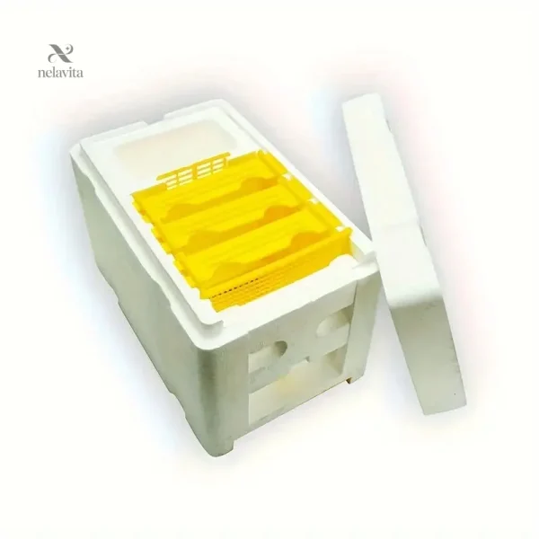 Ruche en polystyrène avec casiers amovibles pour apiculture