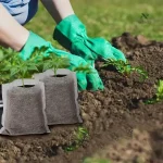 Sacs de culture en tissu non tissé pour jeunes plants