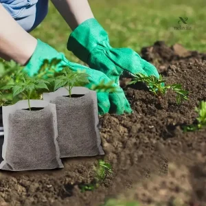 Sacs de culture en tissu non tissé pour jeunes plants