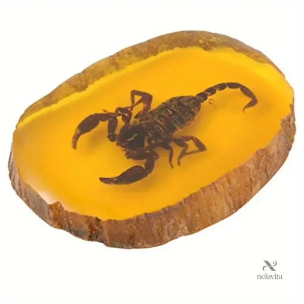 scorpion-reel-fossilise-dans-resine-specimen-educatif-et-c4ftlh-1 Scorpion fossilisé dans résine pour étude et collection