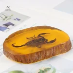 Specimen éducatif de scorpion en résine transparente