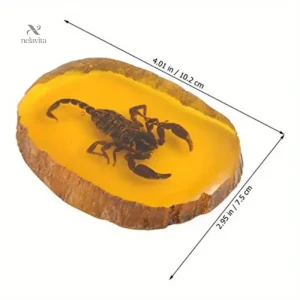 Scorpion réel conservé dans résine pour collection