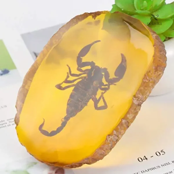 Objet de collection : scorpion fossilisé en résine