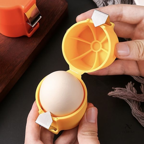 Séparation rapide des coquilles d'œufs en toute simplicité