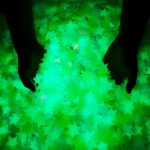 Stickers décoratifs lumineux pour jardin et intérieur