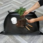 Solution de jardinage idéale pour soins des plantes à domicile