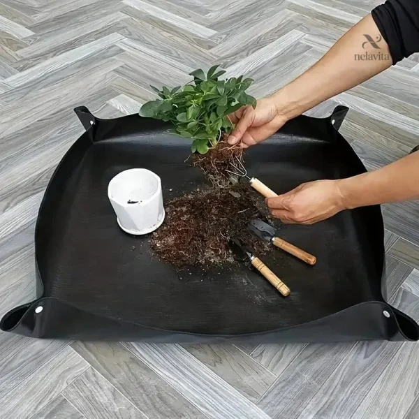 Solution de jardinage idéale pour soins des plantes à domicile