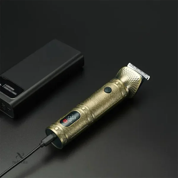 Accessoire de grooming pour entretien quotidien