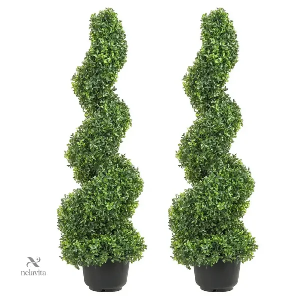 Plante décorative réaliste pour jardin et balcon