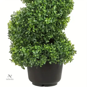 Plante en spirale pour embellir votre espace extérieur