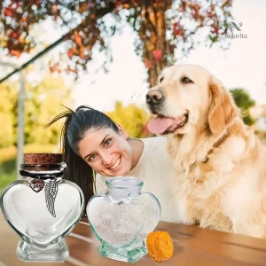 Mémorial pour animaux, urne en forme de cœur